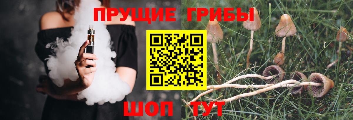 Галлюциногенные грибы Psilocybine cubensis  Вход с VPN  Мыски 